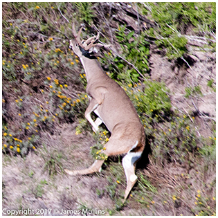 2021 Management photos